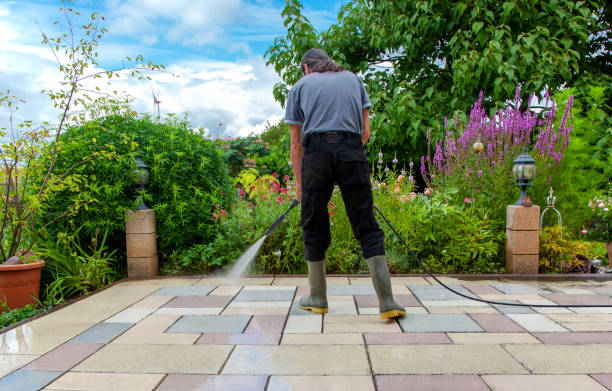 Best Driveway Pressure Washing  in San Antonio, FL