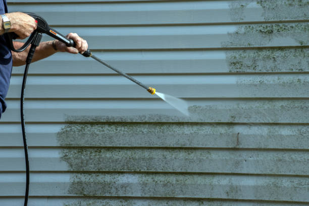 Best Gutter Cleaning  in San Antonio, FL